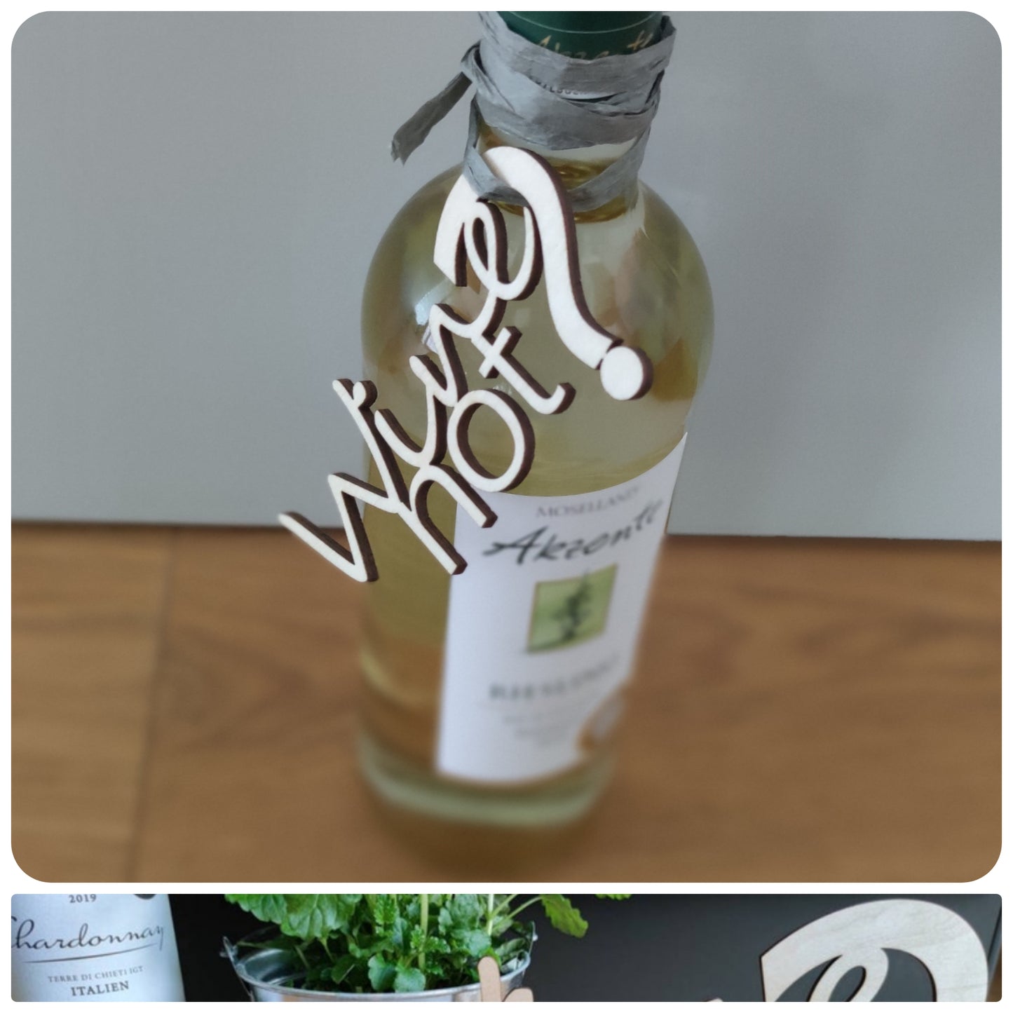 Wine not? Schriftzug Wein